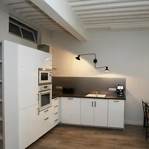 55 M2 With Big Terrace In Downtown Annecy